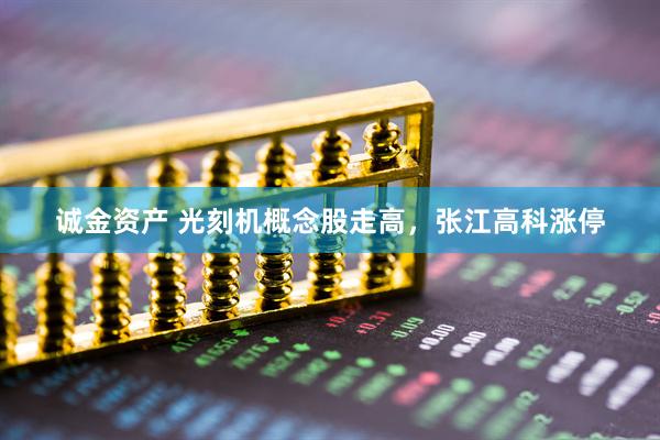 诚金资产 光刻机概念股走高，张江高科涨停