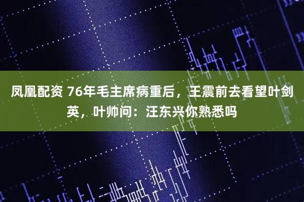 凤凰配资 76年毛主席病重后，王震前去看望叶剑英，叶帅问：汪东兴你熟悉吗